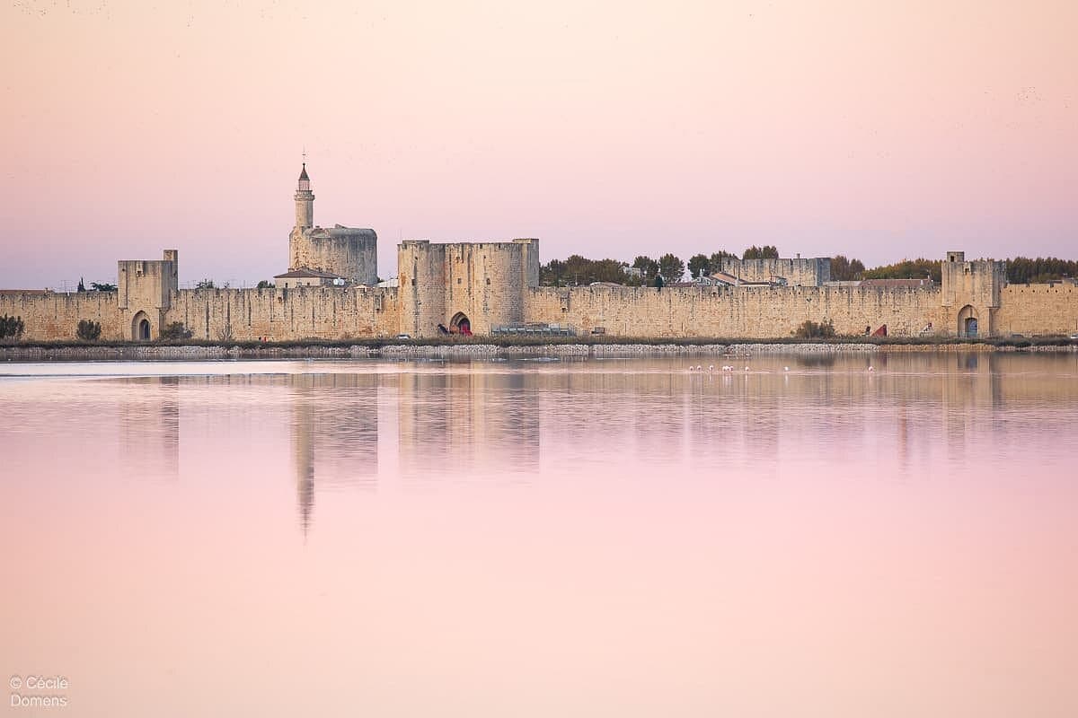 Visiting Aigues-Mortes and the Salins du Midi