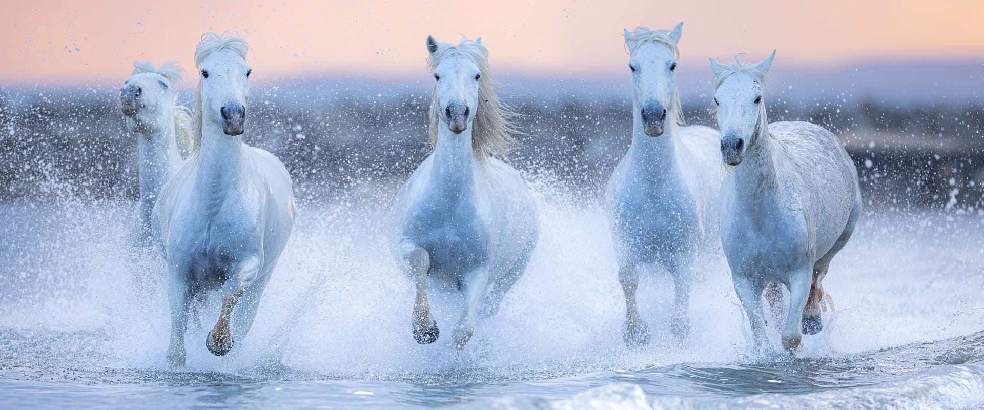 Photography workshops in the Camargue with Cécile Domens